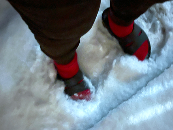 Karen Duquette's feet in the sbow