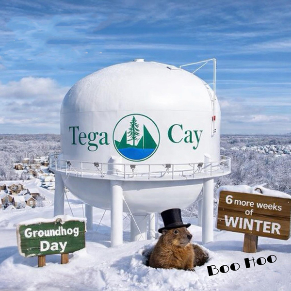 Tega Cay SC water tower