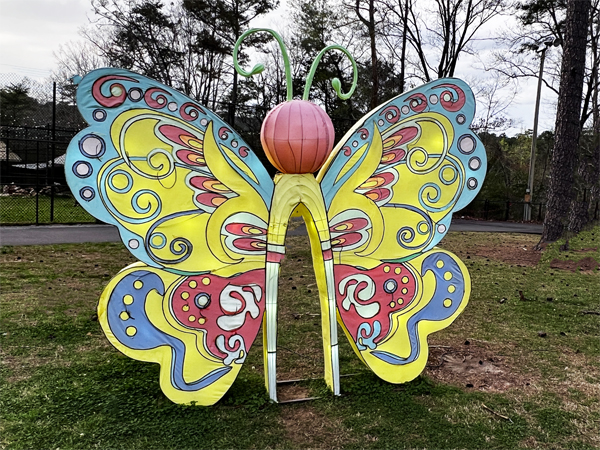 Butterfly 