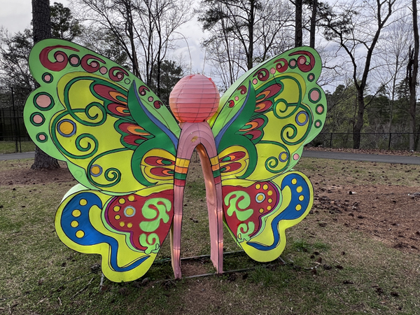 Butterfly