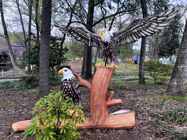Bald Eagles