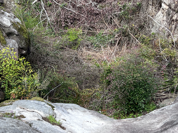 big rocks and big dip