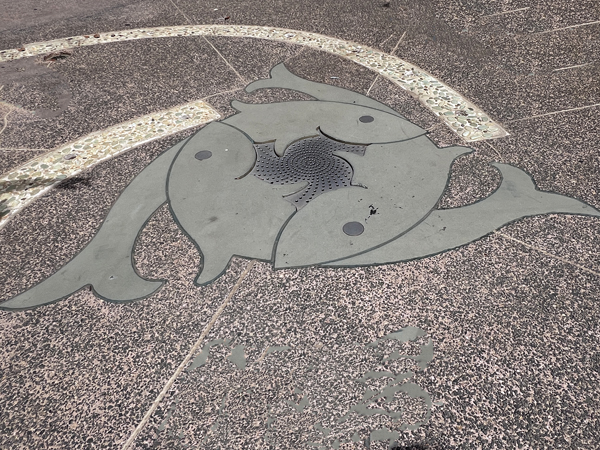 fish on he ground