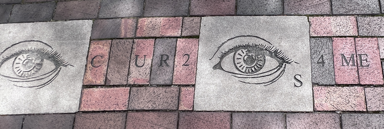 Bricks and eyes on the ground