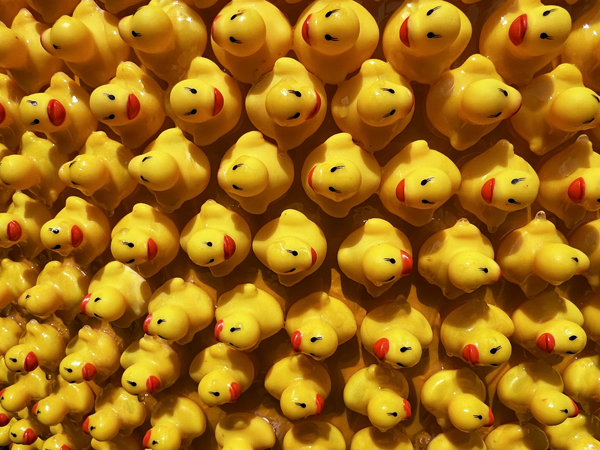 closuep of Put Your Ducks in a Row egg