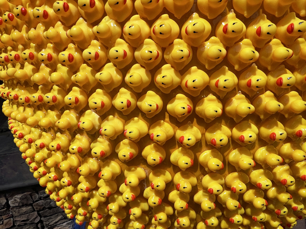 closuep of Put Your Ducks in a Row egg