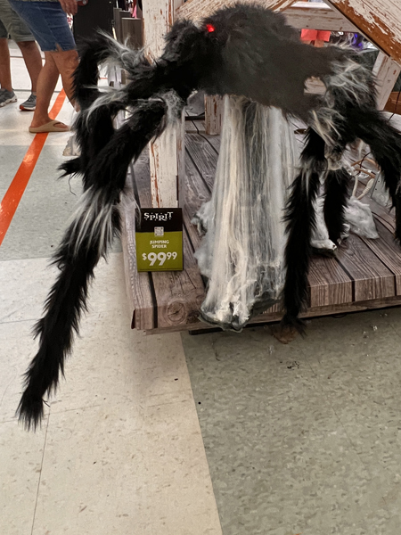 black spider