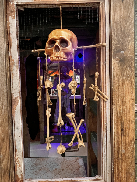 skeleton bones