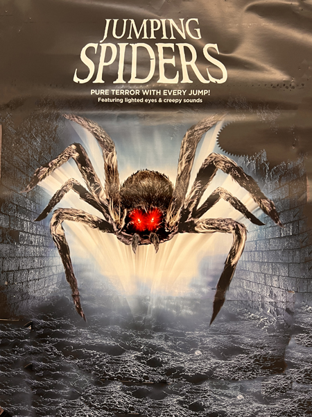 Jumping Spiders