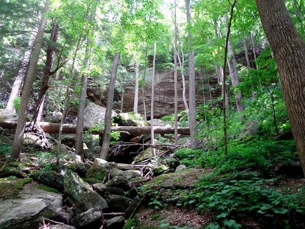 the waterfall path with no waterfall