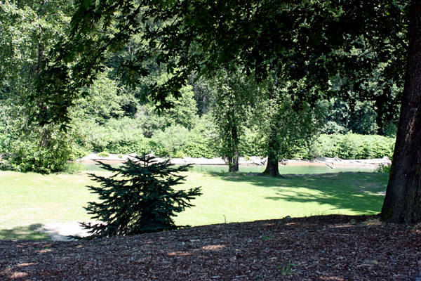 Sandy Cove Park