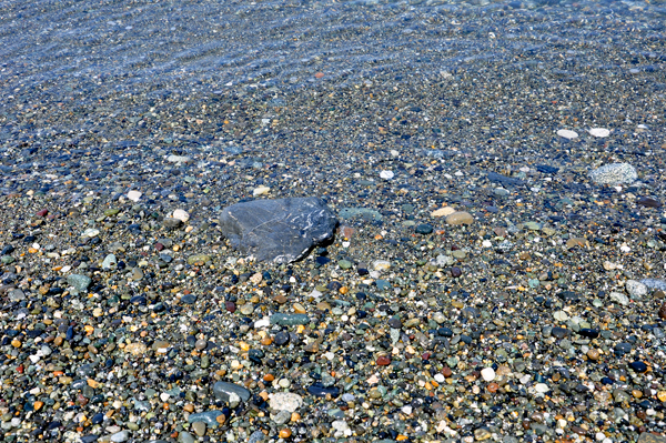 clear water and sparkling rocks