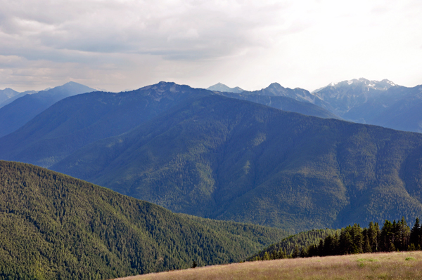 the rugged Olympic Mountains