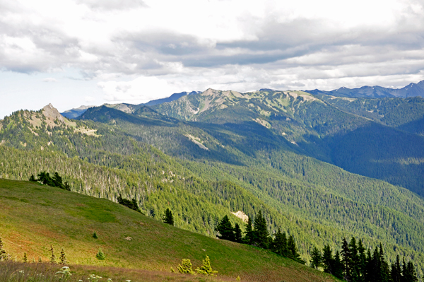 the rugged Olympic Mountains