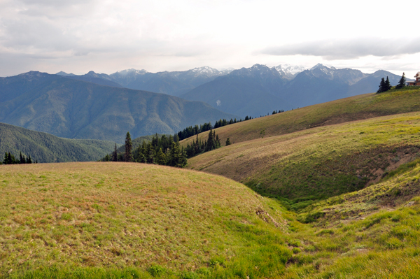 scenery at Olympic National Park
