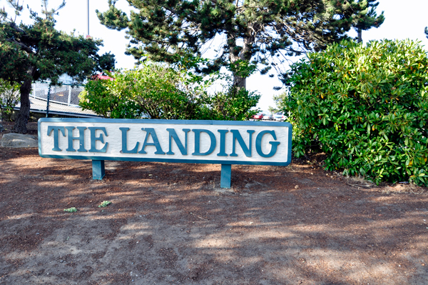 sign: The Landing