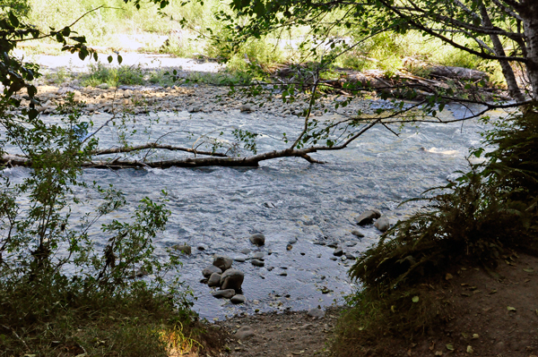 the Hoh River