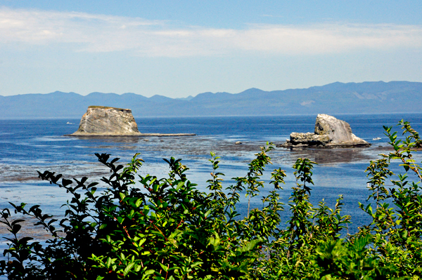 rocks at Cape Flattery