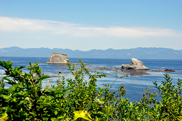 rocks at Cape Flattery