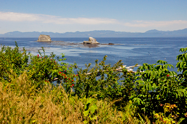 rocks at Cape Flattery