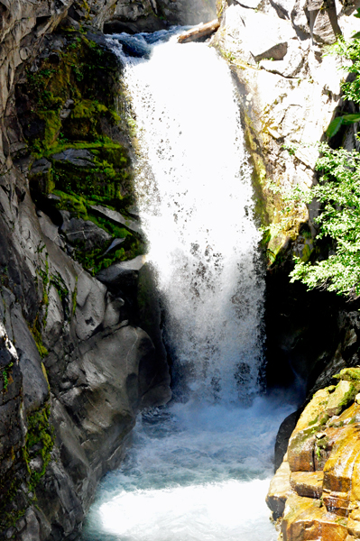 Christine Falls