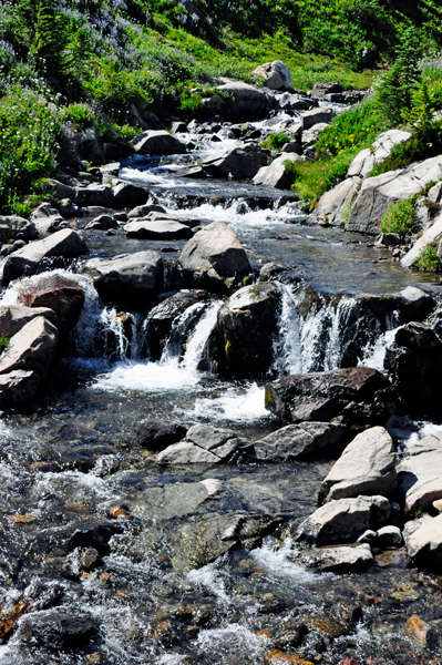 the bottom of Myrtle Falls