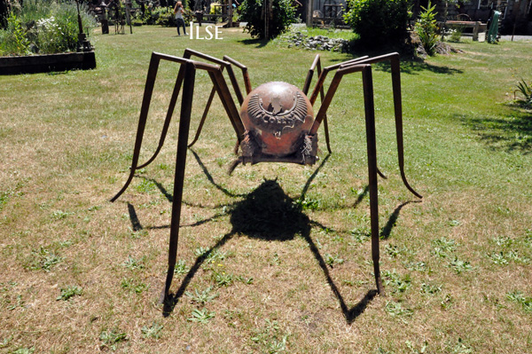 spider in 2015