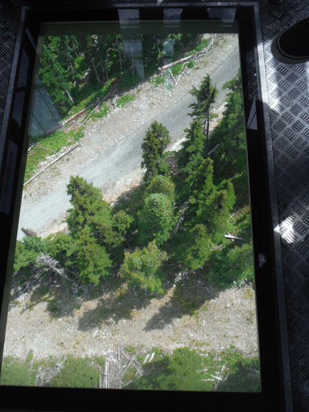 scenery through the glass bottom gondola