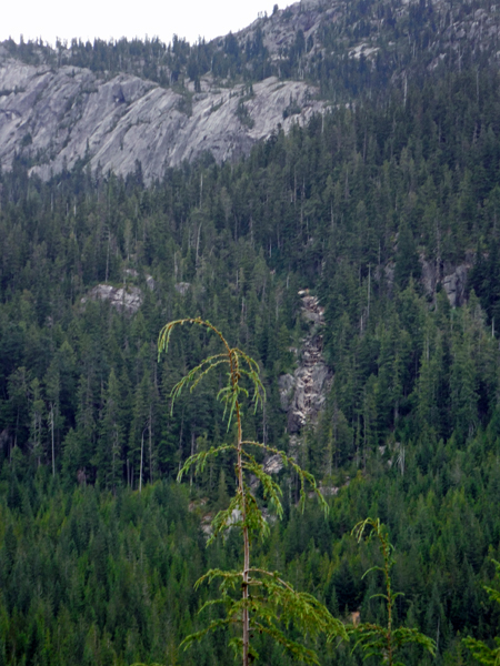view of the falls that are not there
