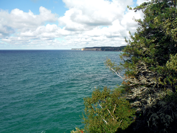view from the overlook