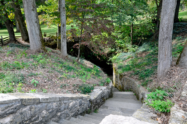 entry to The Sinking Spring