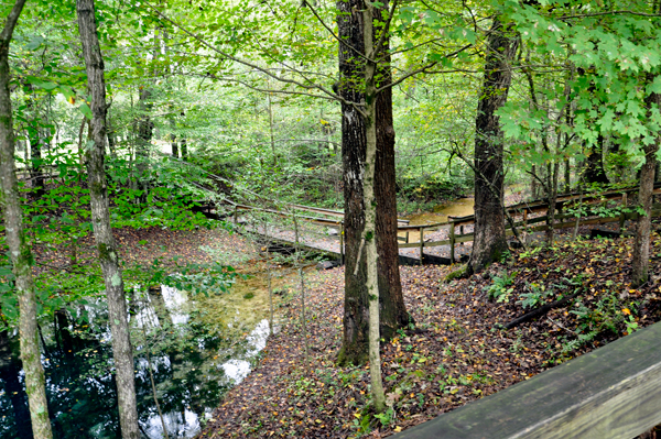 The Blue Hole Spring and bridge