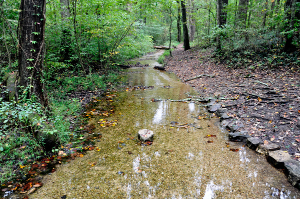 a small river stream