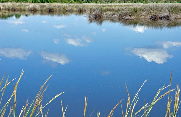 Beautiful cloud reflections