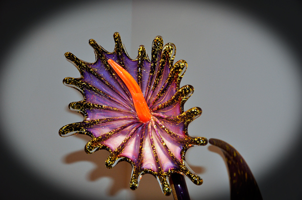 close-up of an Ikebana