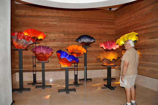 Lee Duquette in the Macchia Forest