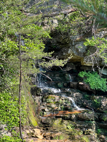 Tory's Den Waterfall