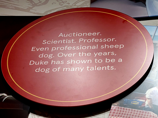 sign about Duke the dog