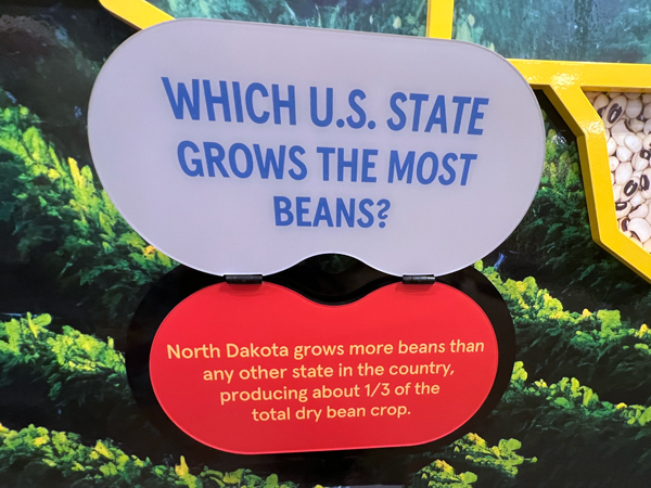 bean information