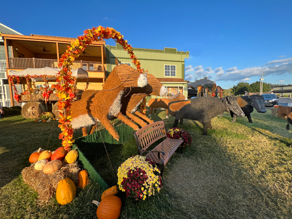 pumpkins, donkey, stagecoach, wagon