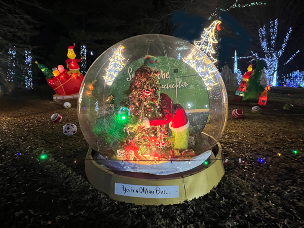 Grinch Snow Globe - the Mean One