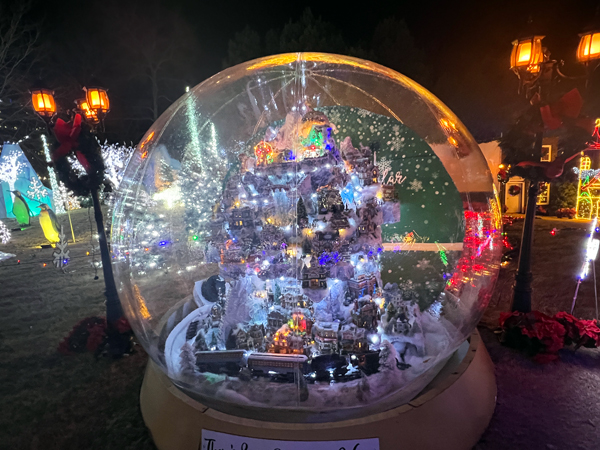 There's Snow Place Like Home snow globe