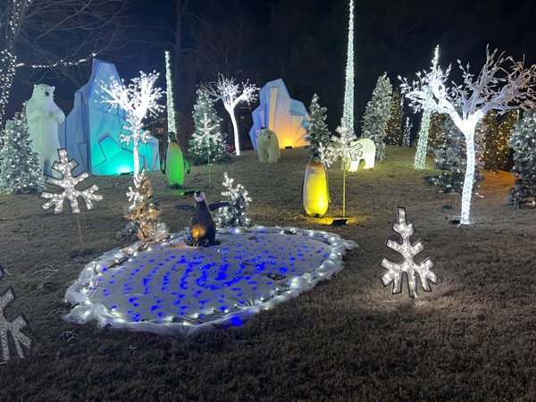 Penguin skating on ice