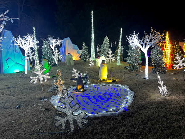 Penguin skating on ice