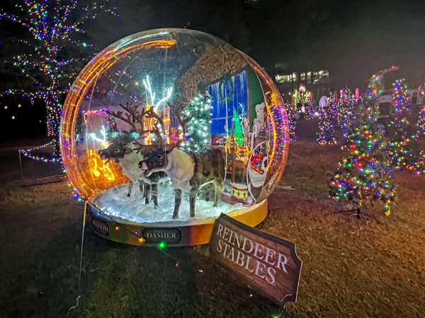 reindeer snowglobe