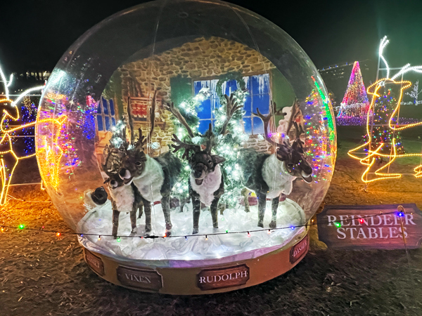 reindeer snowglobe