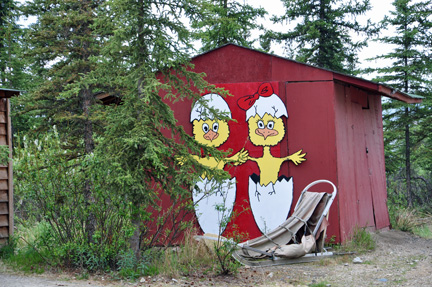 chickens on the shed