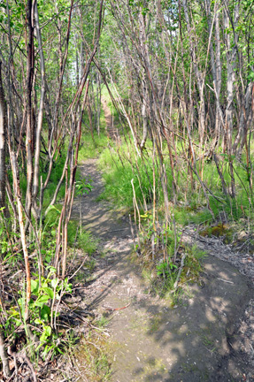 trail by the lunch spot of the two RV Gypsies