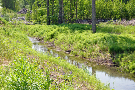 Tiekel River