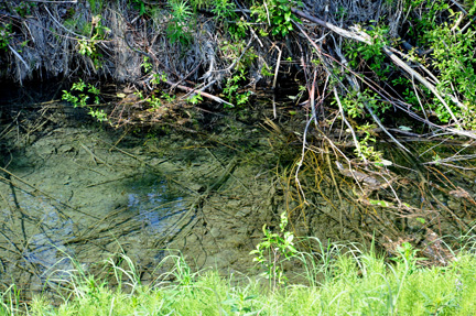 Tiekel River